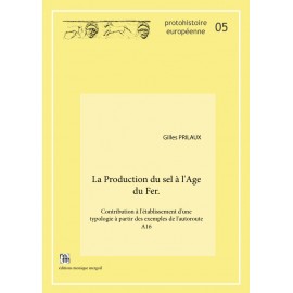 La Production du sel à l'Age du Fer.